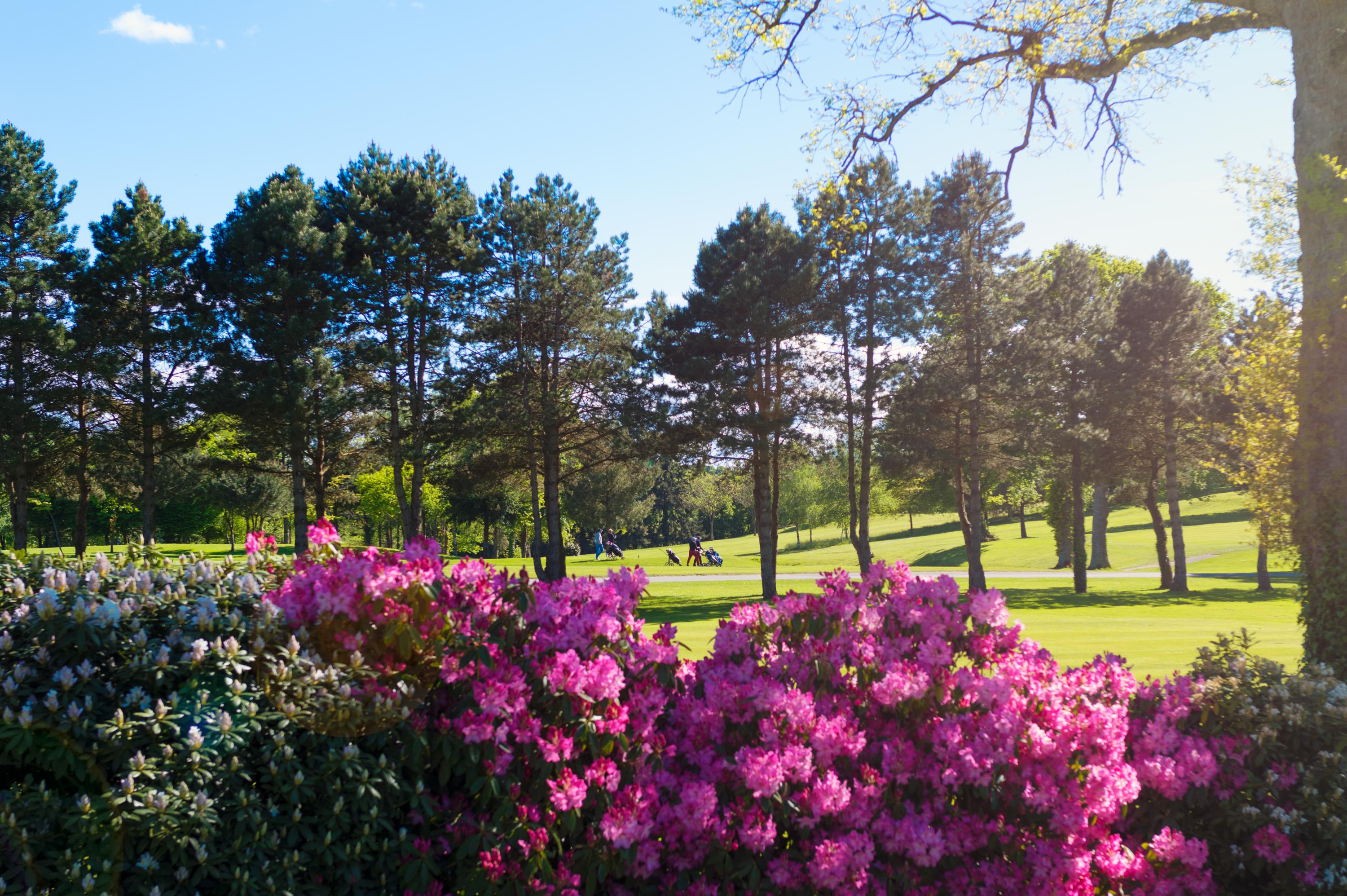 Saint Malo Golf Resort Le Tronchet  Екстериор снимка